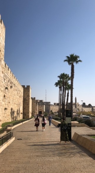 CCD3EC49-5F8F-4CD2-B37D-0155C2C588FE